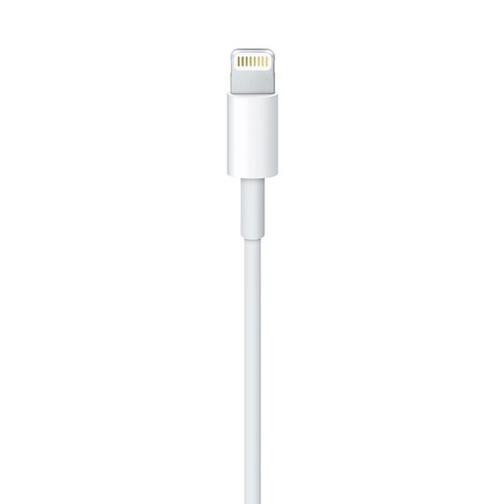 USB дата-кабель LIGHTNING для iPhone XS Max/ XS/ XR/ X (1.0 м) с оригинальным чипом (foxconn) 42535156