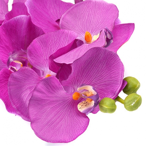 14411MP Цветы искуственные орхидея 5 цветов(х25) MayerBoch 37909997