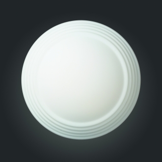 Светильник настенно-потолочный St Luce Белый/Белый E27 2*75W