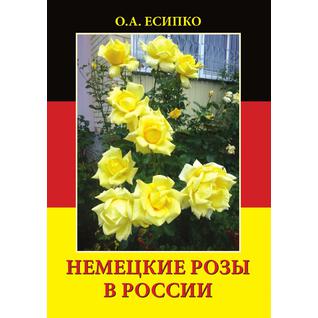 Немецкие розы в России