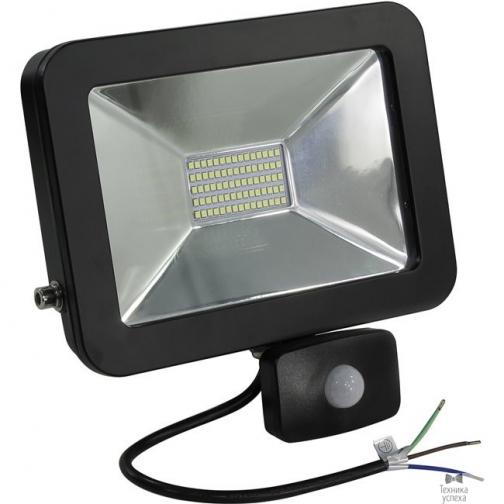 Smart buy Светодиодный (LED) прожектор FL Sensor Smartbuy-50W/6500K/I65 (SBL-FLSen-50-65K) 8938100