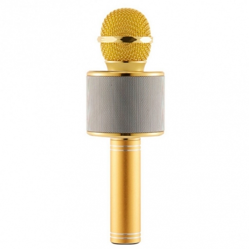 Беспроводной караоке-микрофон с колонкой и bluetooth WS-858 Gold Караоке микрофон с колонкой ws-858 No name 37904672 1
