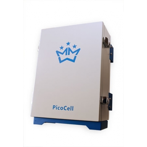 Усилитель (ретранслятор) PicoCell 450 CDT PicoCell 9265119