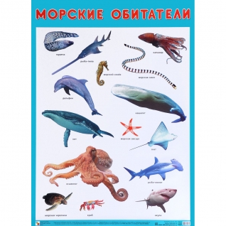 Плакат "Морские обитатели" Мозаика-Синтез
