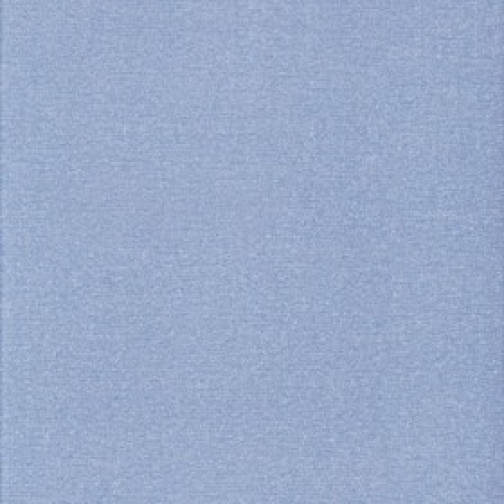 Tori Blue 1401013