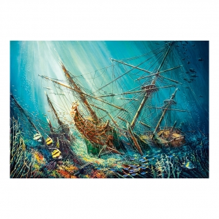 Пазл "Морские сокровища", 1000 элементов Castorland