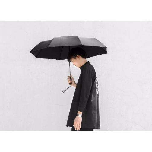 Зонт Xiaomi MiJia Automatic Umbrella ZDS01XM 38089873 2