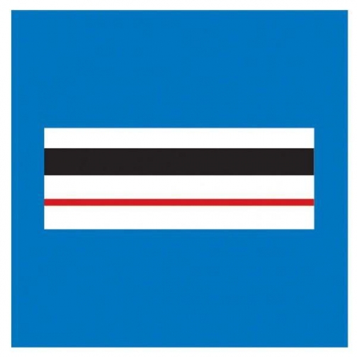 TOE Concept Знак отличия Dienstgradabzeichen Frankreich Chef de Police 5700246