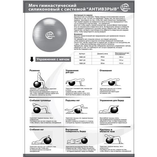 Мяч гимнастический Lite Weights 1868lw (85см, антивзрыв, с насосом, серебро) 42220172 3