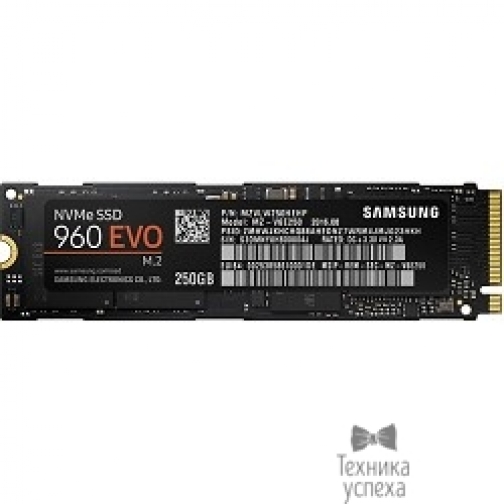 Samsung Samsung SSD 250Gb 960 EVO M.2 MZ-V6E250BW 7247817
