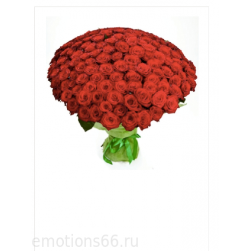 Букет 101 роза ( 70 см) 873690