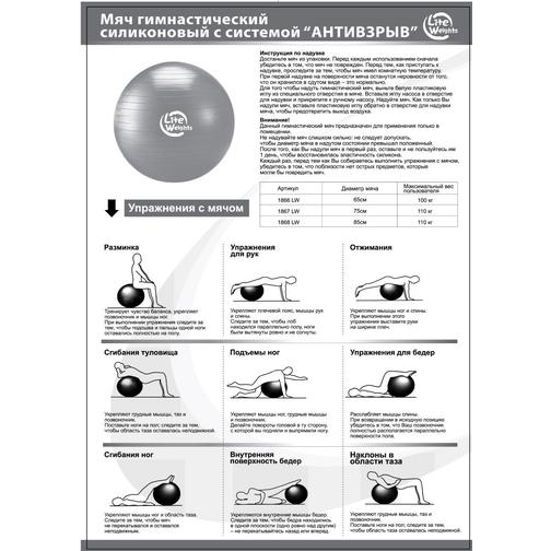 Мяч гимнастический Lite Weights 1868lw (85см, антивзрыв, с насосом, серебро) 42220172 1