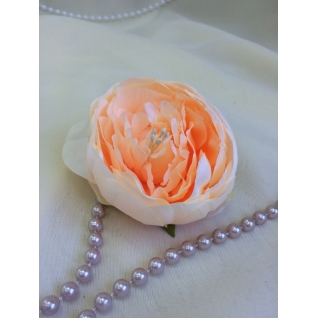 Пион (головка цветка d 8 см, h 5 см,1 шт) персиковый