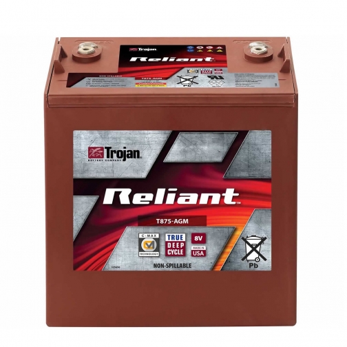 Аккумуляторная батарея Trojan T875-AGM, 8В, 160 а/ч 1388211