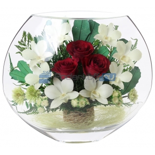 Цветы в стекле в вакууме "Аврора красно-белая", розы и орхидеи