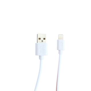 USB дата-кабель BoraSCO B-20548 charging data cable 2A Lightning (витой 2.0 м) Белый