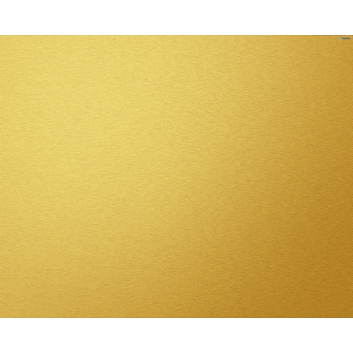 Смеситель для душа Rav Slezak L581.5/3Z с лейкой и керамической ручкой (золото) 6758707 2
