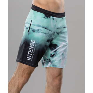 Мужские спортивные текстильные шорты Fifty Intense Fa-ms-0104, принт мятный размер S