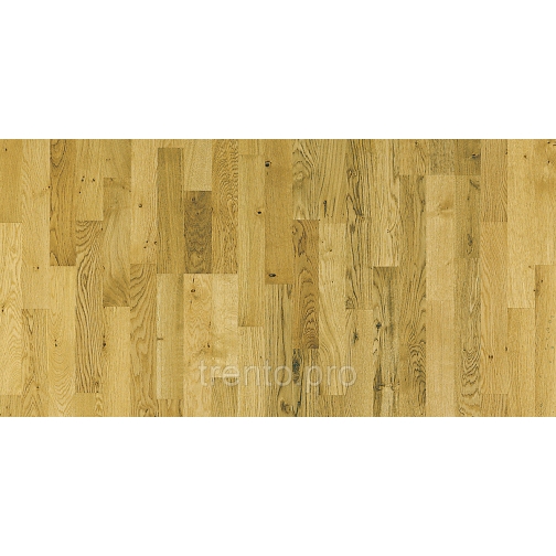 Паркетная доска Focus Floor Дуб Хамсин под лаком трехполосный Karelia - Upofloor 5368801 1