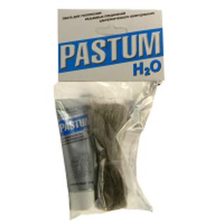 Комплект Уплотнительная паста PASTUM 70г H2O вода+ лен 15 г