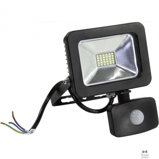 Smart buy Светодиодный (LED) прожектор FL Sensor Smartbuy-20W/6500K/65 (SBL-FLSen-20-65K)