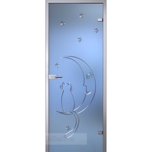 Стеклянная межкомнатная дверь Fantasy Ночь с гравировкой (полотно) 5900924