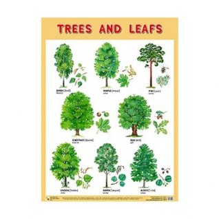 Плакат на английском языке Trees and Leafs Мозаика-Синтез