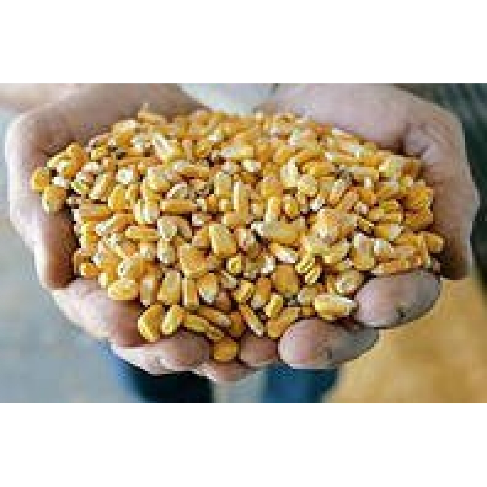 кукуруза зерно купить в москве в розницу