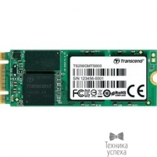 Transcend Transcend SSD 256Gb M.2 600 Series TS256GMTS600