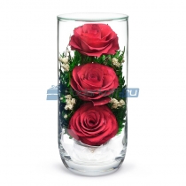 Цветы в стекле в вакууме "Глория красная", розы