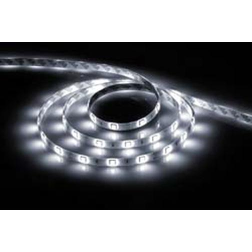 Cветодиодная LED лента Feron LS607, 30SMD(5050)/м 7.2Вт/м 5м IP65 12V 6500К 38101412