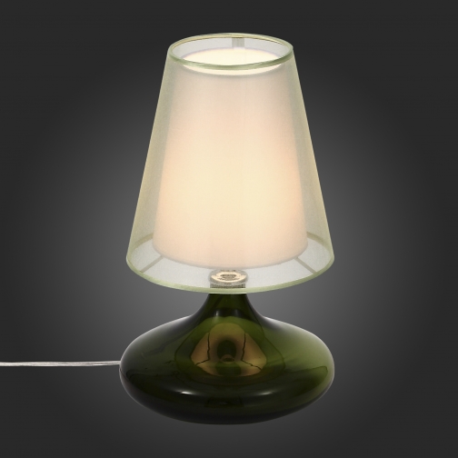 Настольная лампа St Luce Хром, Зеленный/Салатовый, Белый E27 1*60W 37397144 4