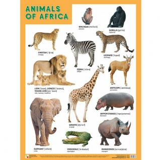 Обучающий плакат Animals of Africa Мозаика-Синтез