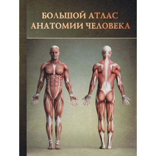 Винсент Перез. Книга Большой атлас анатомии человека, 978-5-271-46019-7, 978527146019718+ 37432610