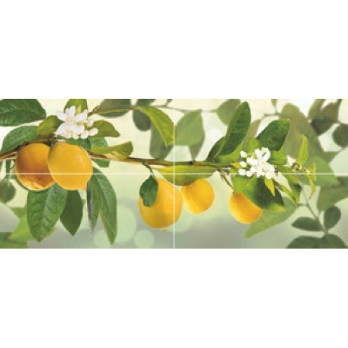 3070 DECOR MISABOR-4 (Лимоны) Декор NOVOGRES 1398685