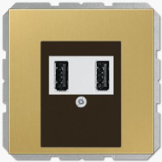 Розетка USB (зарядка) Jung LS 3000мА 5В двойная латунь Classic (классик) металл (белый механизм)