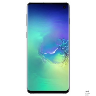 Samsung Samsung Galaxy S10 8/128GB (2019) SM-G973F/DS аквамарин (SM-G973FZGDSER)